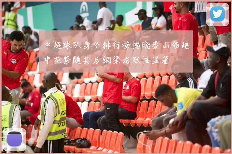 中超球队身价排行榜揭晓泰山领跑申花紧随其后铜梁龙涨幅显著